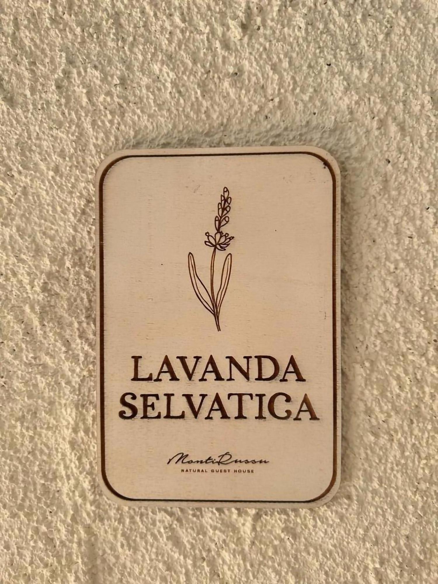 Monti Russu Natural Guest House Aglientu Eksteriør billede